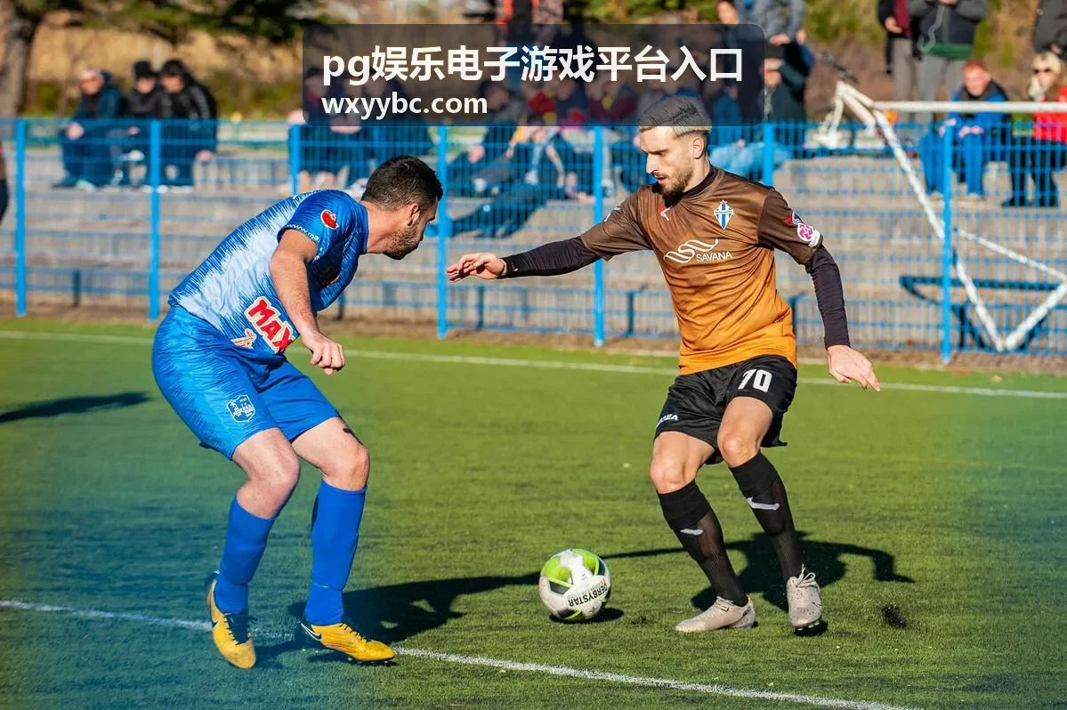 pg娱乐电子游戏平台入口通道与玩法内容配图