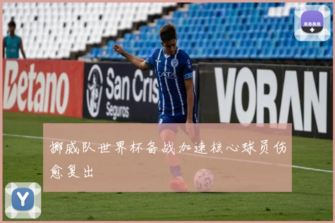 挪威队世界杯备战加速核心球员伤愈复出
