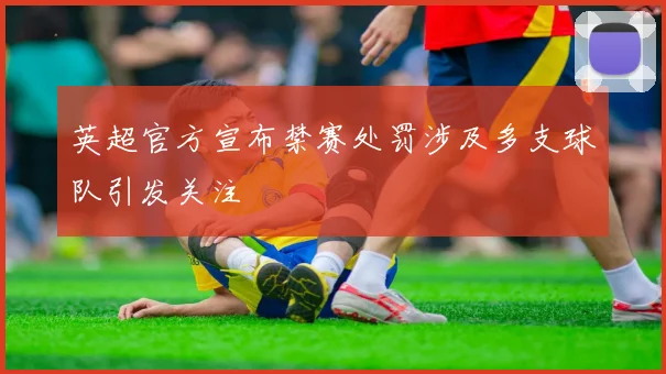 英超官方宣布禁赛处罚涉及多支球队引发关注